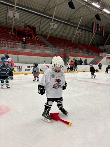 Týden hokeje (19.1.2026) 1
