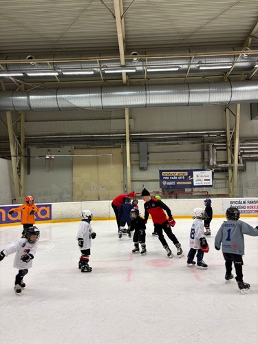 Týden hokeje (19.1.2026) 2