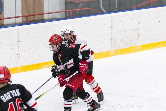 9. třída: Rytíři z Telče (25.3.2025) 9