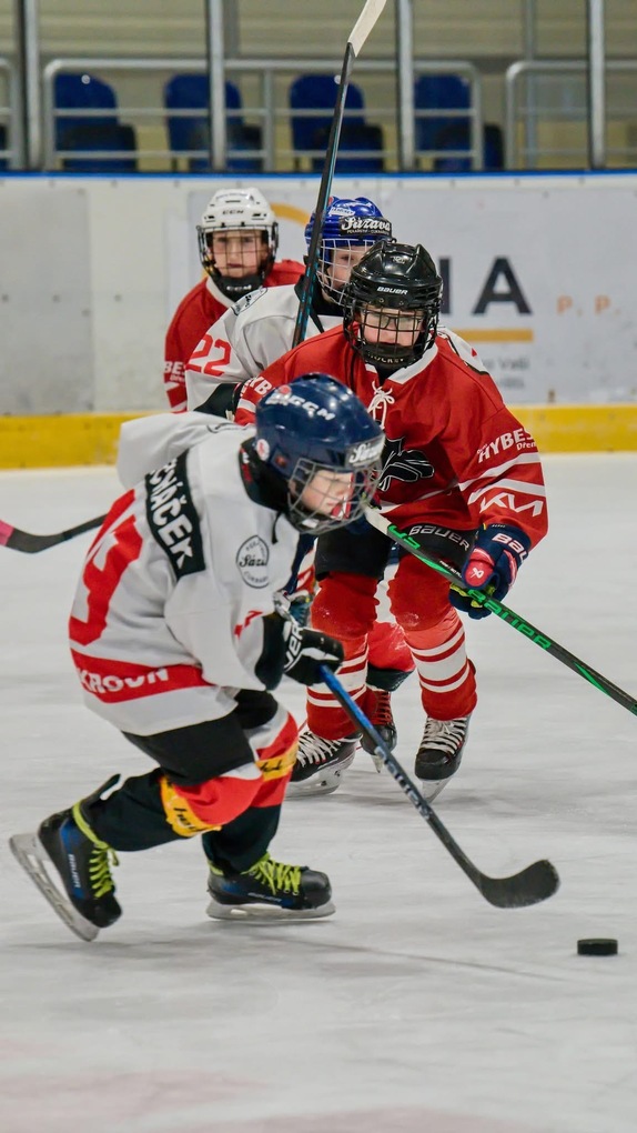 Mladší žáci: HC Lanškroun (10.1.2026) 1