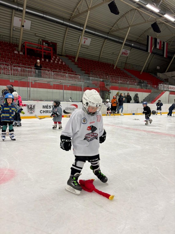 Týden hokeje (19.1.2026) 1