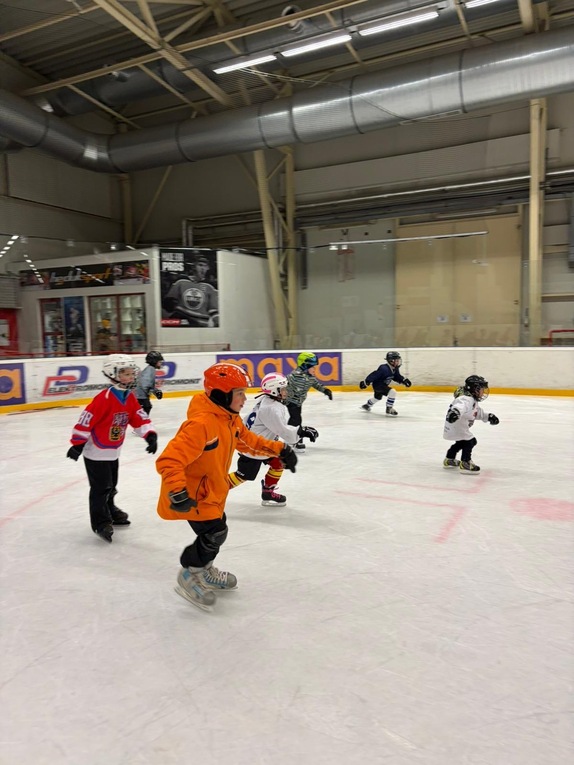 Týden hokeje (19.1.2026) 3