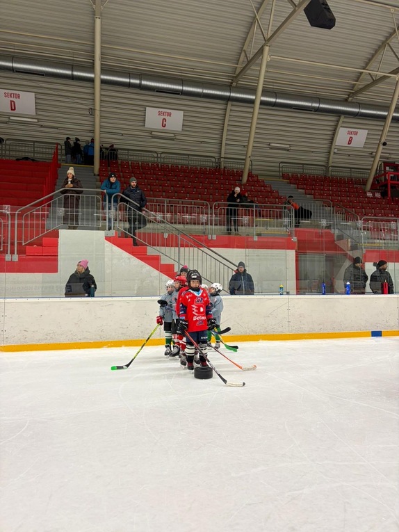 Týden hokeje (19.1.2026) 9