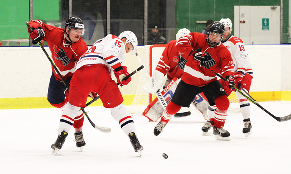 A-tým: HC Hlinsko (28.1. 2026) 11