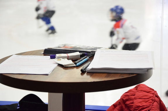 Týden hokeje 20/1/2020 8